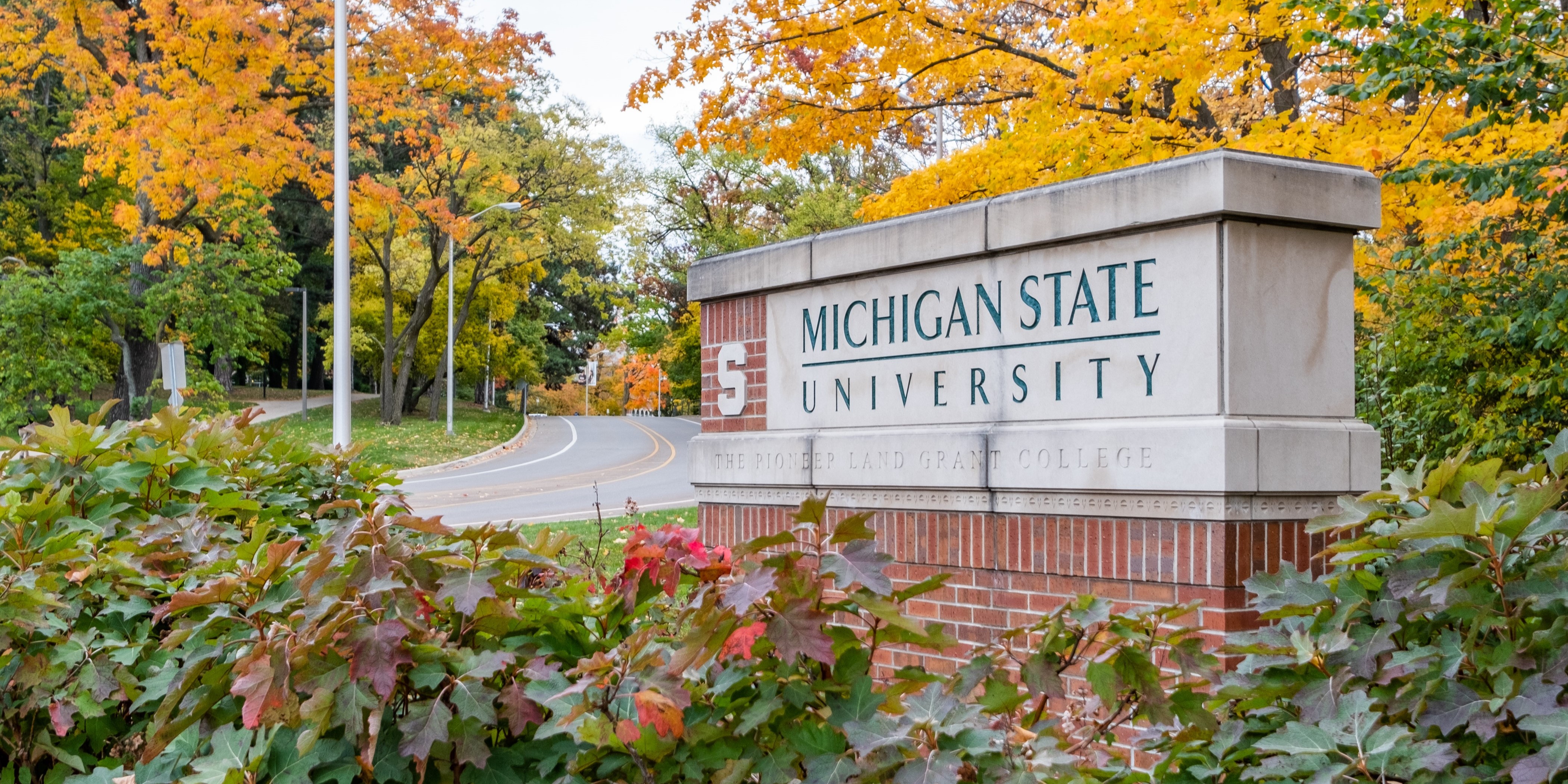 Michigan State University sign among fall foliage